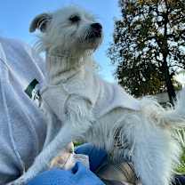 Thumbnail photo of Zeke #3