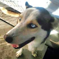 Thumbnail photo of 59905487 #3