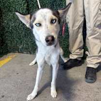 Thumbnail photo of 59905487 #4