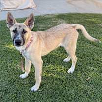 Thumbnail photo of Max #2