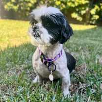 Thumbnail photo of Louise #2