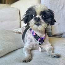 Thumbnail photo of Louise #4