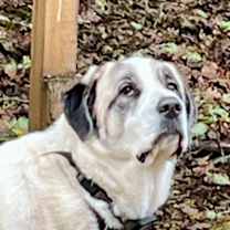 Thumbnail photo of Ella #3