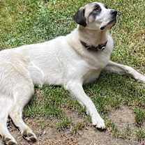 Thumbnail photo of Ella #4