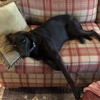 Thumbnail photo of Leah #1