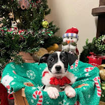 Thumbnail photo of Waffle House #4