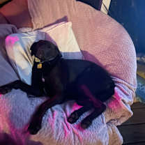 Thumbnail photo of Leah #2