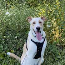 Thumbnail photo of Buanga #4