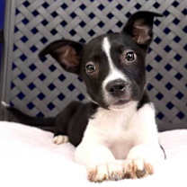 Thumbnail photo of Lee #2