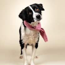 Thumbnail photo of Aprilia #1