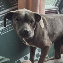 Thumbnail photo of Neyo #2