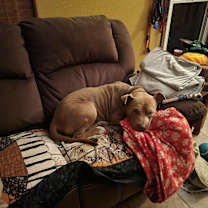 Thumbnail photo of Toby #3