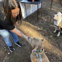 Thumbnail photo of Toby #4