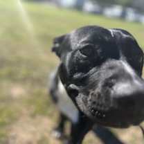 Thumbnail photo of Haden #2