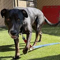 Thumbnail photo of Boy #2