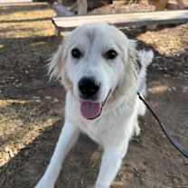 Thumbnail photo of Marla SAT #3