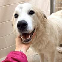 Thumbnail photo of Marla SAT #4