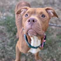 Thumbnail photo of Xmas Story #2