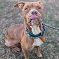 Thumbnail photo of Xmas Story #3