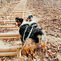 Thumbnail photo of Tux + (my bestie Aspen)! #4