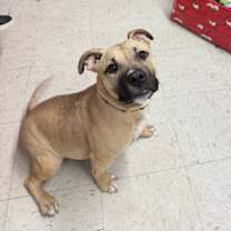 Thumbnail photo of Cami #2