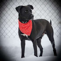 Thumbnail photo of Malcolm #1