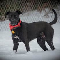 Thumbnail photo of Malcolm #2