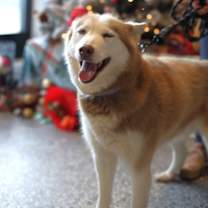 Thumbnail photo of Gloria #1