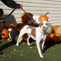 Thumbnail photo of Dimitri fka Slurpee #2