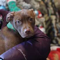 Thumbnail photo of Bo Peep #2