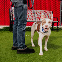 Thumbnail photo of Dimitri fka Slurpee #3