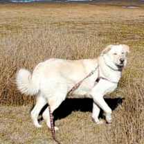 Thumbnail photo of Emma #3