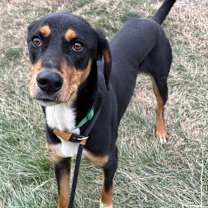 Thumbnail photo of Seeyuh #1