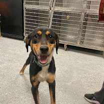 Thumbnail photo of Seeyuh #2