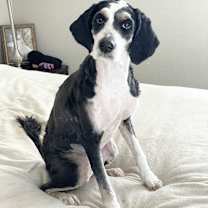 Thumbnail photo of Perfect Paris #1