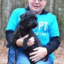 Thumbnail photo of Benji #1