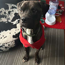 Thumbnail photo of Tony #1