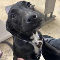 Thumbnail photo of Mable  #1