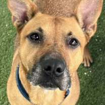 Thumbnail photo of Kendall #1