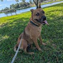 Thumbnail photo of Kendall #2