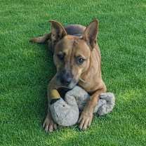 Thumbnail photo of Kendall #3