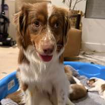 Thumbnail photo of Hattie #2