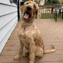 Thumbnail photo of Dolly #2