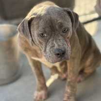 Thumbnail photo of Cindy Lou (#5) #2