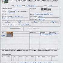 Thumbnail photo of Cindy Lou (#5) #3