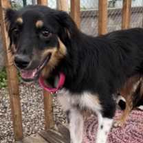 Thumbnail photo of SUMMER #3