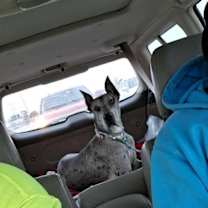 Thumbnail photo of Reagan #3