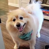 Thumbnail photo of Bear #2