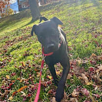 Thumbnail photo of Marabell #1