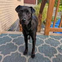 Thumbnail photo of Marabell #2